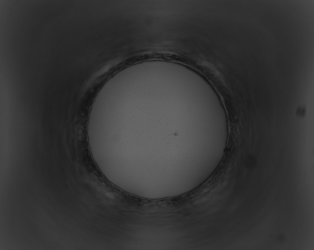 X0000091881159200710031115