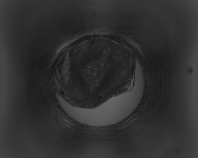 X0000091881160200710031115