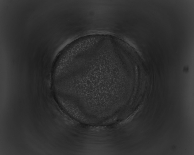 X0000091881165200710031115