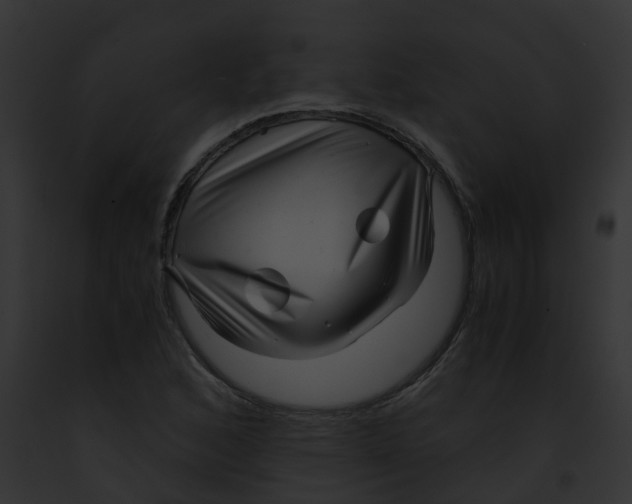 X0000091881168200710031115