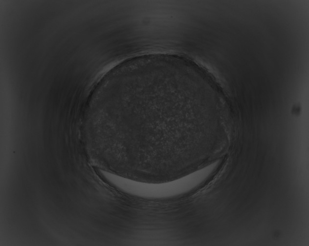 X0000091881169200710031115