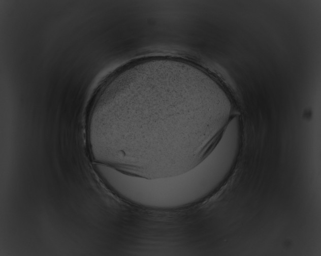 X0000091881172200710031115