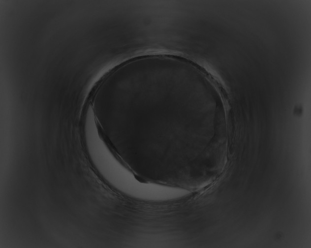 X0000091881173200710031115