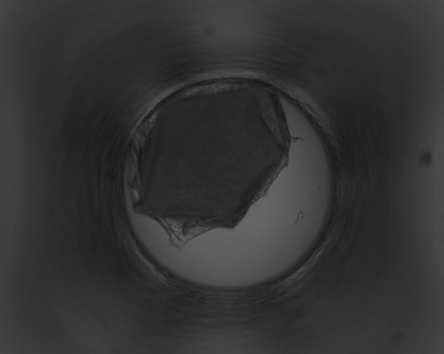 X0000091881177200710031115