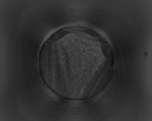 X0000091881184200710031115