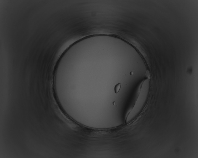 X0000091881187200710031115