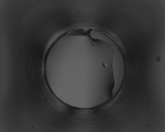 X0000091881188200710031115