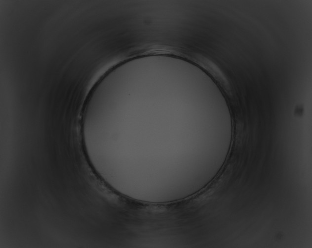 X0000091881190200710031115