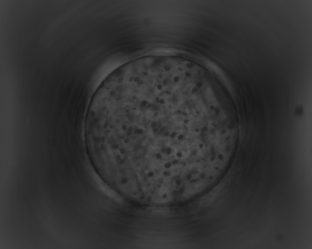 X0000091881194200710031115