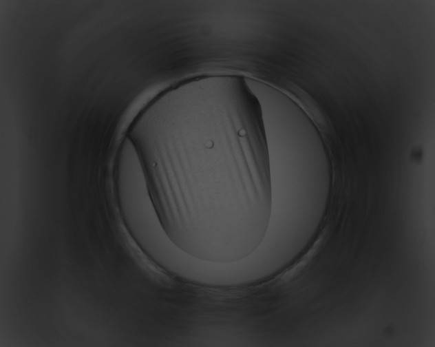 X0000091881196200710031114