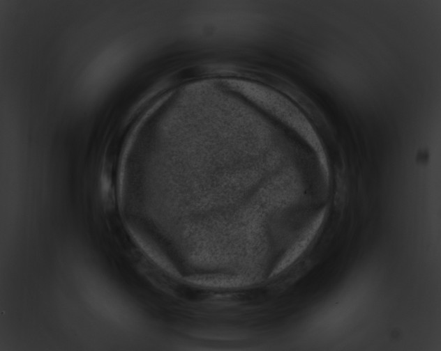 X0000091881198200710031114