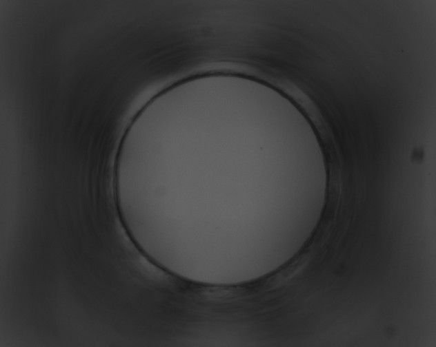 X0000091881199200710031114