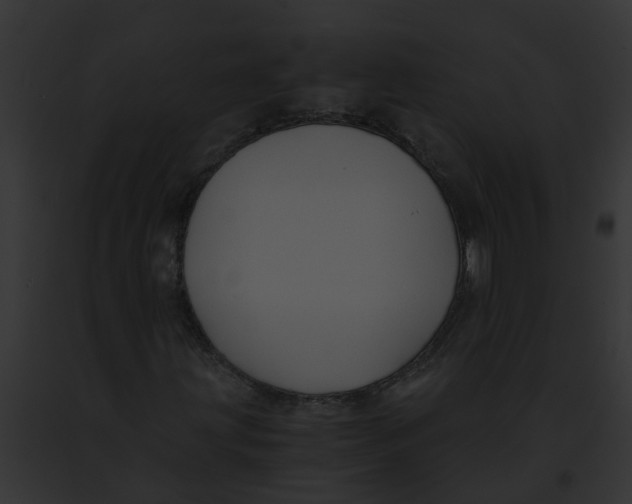 X0000091881203200710031114