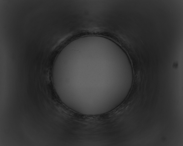 X0000091881205200710031114