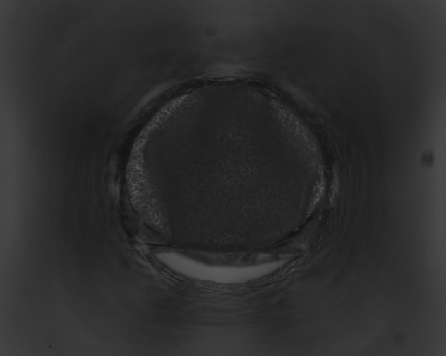 X0000091881206200710031114