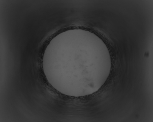 X0000091881207200710031114