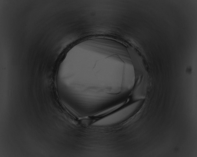 X0000091881210200710031114