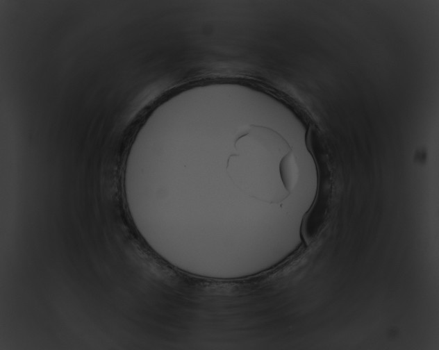 X0000091881211200710031114