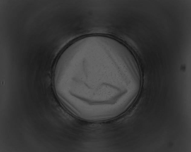 X0000091881212200710031114