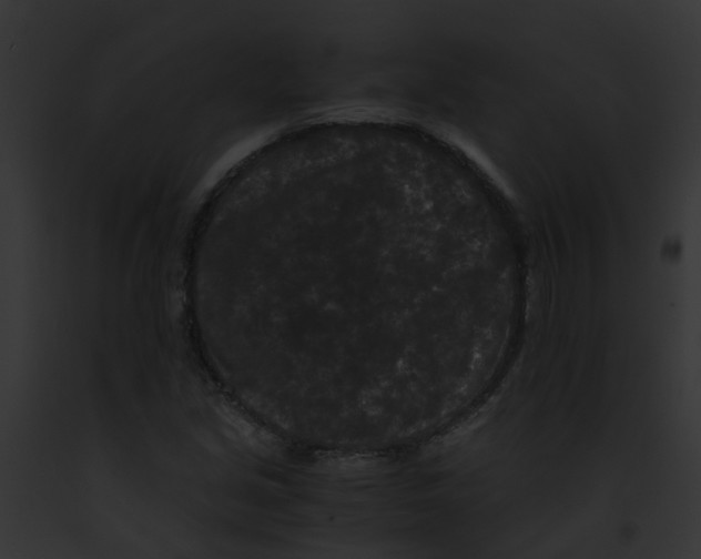 X0000091881213200710031114