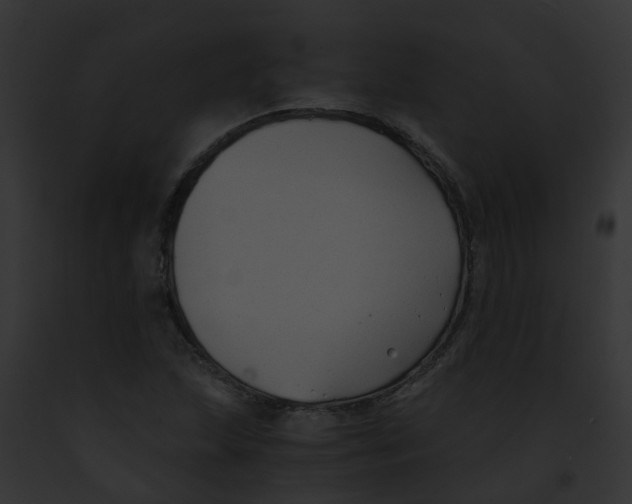 X0000091881215200710031114