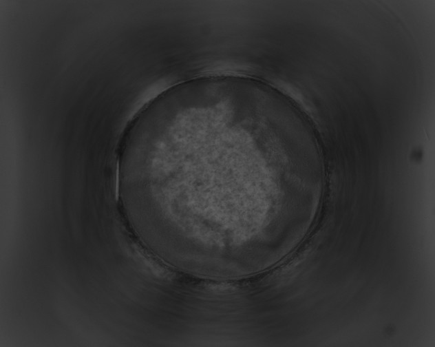 X0000091881219200710031114