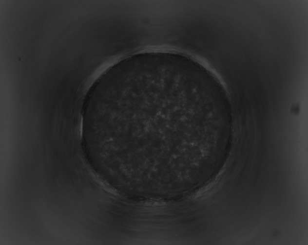 X0000091881221200710031114