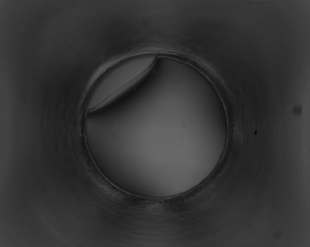 X0000091881222200710031114