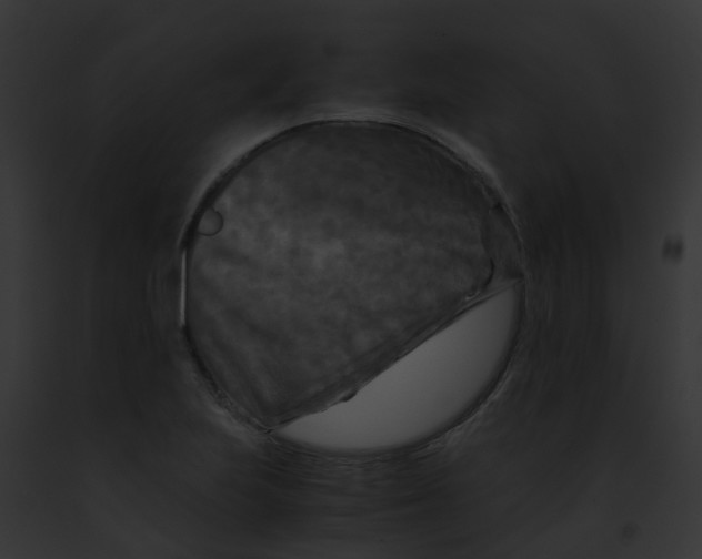 X0000091881223200710031114