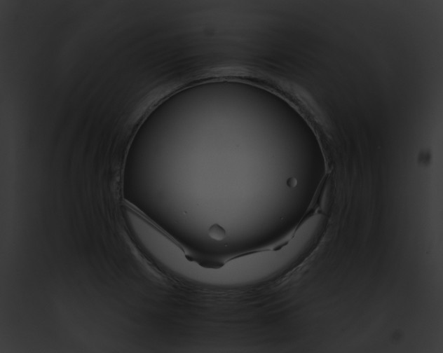 X0000091881225200710031114