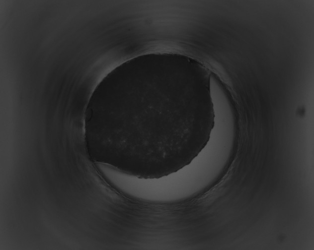 X0000091881226200710031114