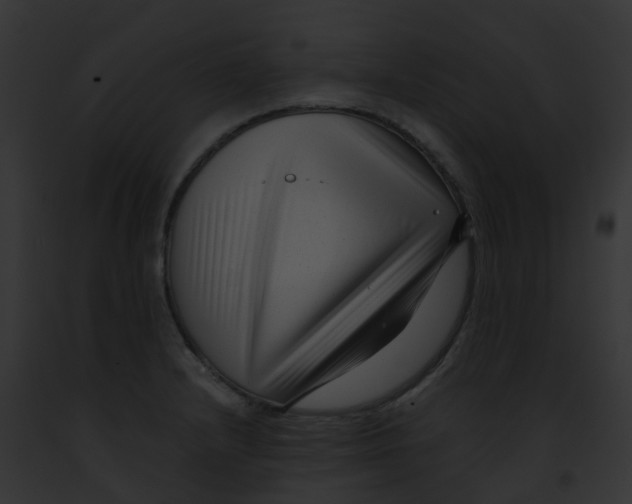 X0000091881232200710031114