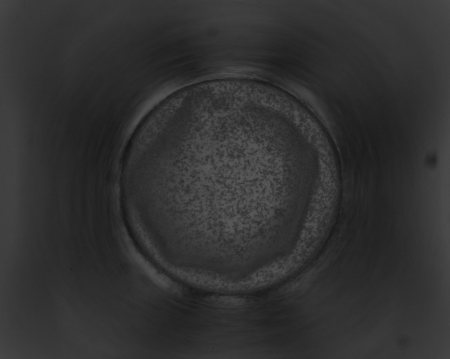 X0000091881235200710031114