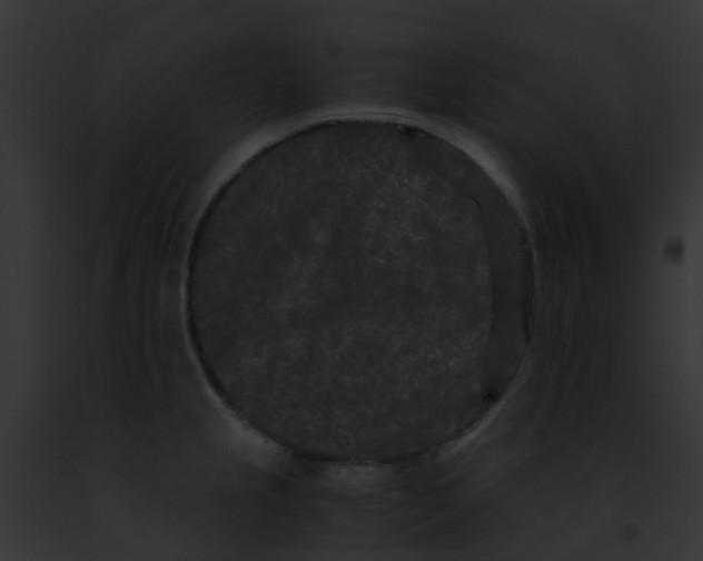 X0000091881237200710031114