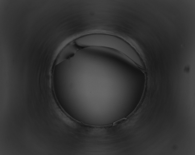 X0000091881238200710031114