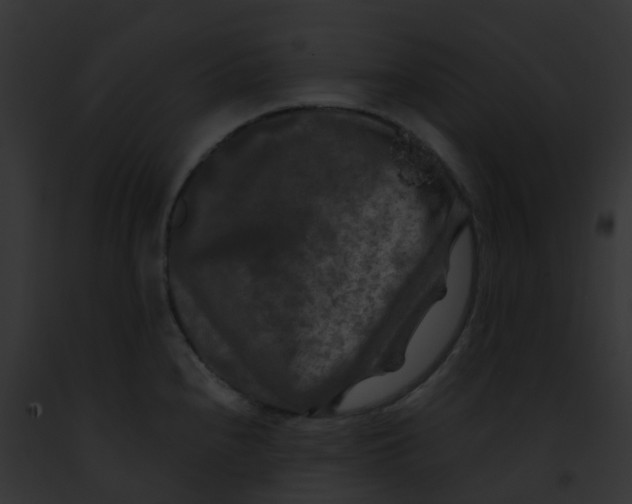 X0000091881240200710031114