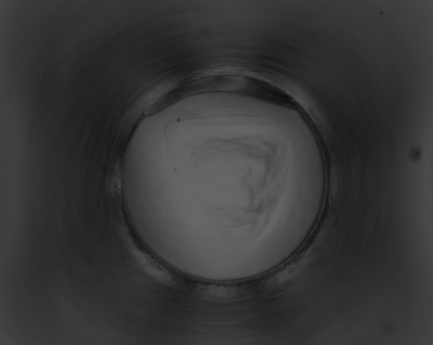 X0000091881241200710031114