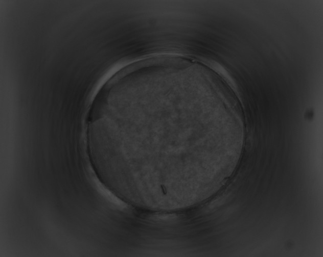 X0000091881243200710031114