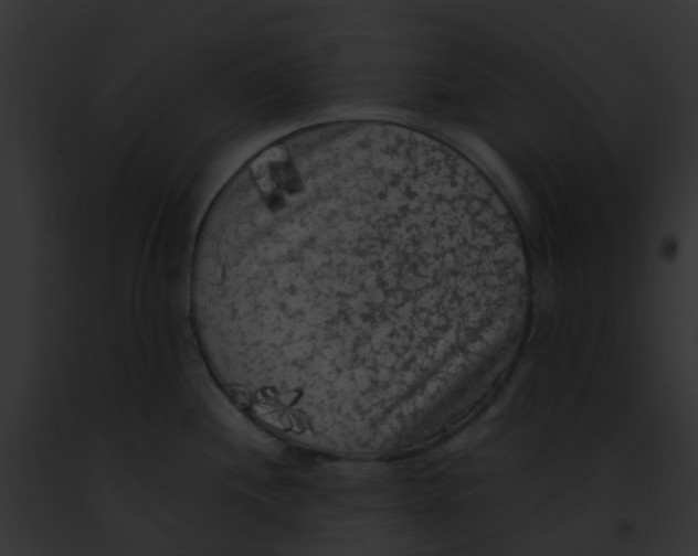 X0000091881244200710031114