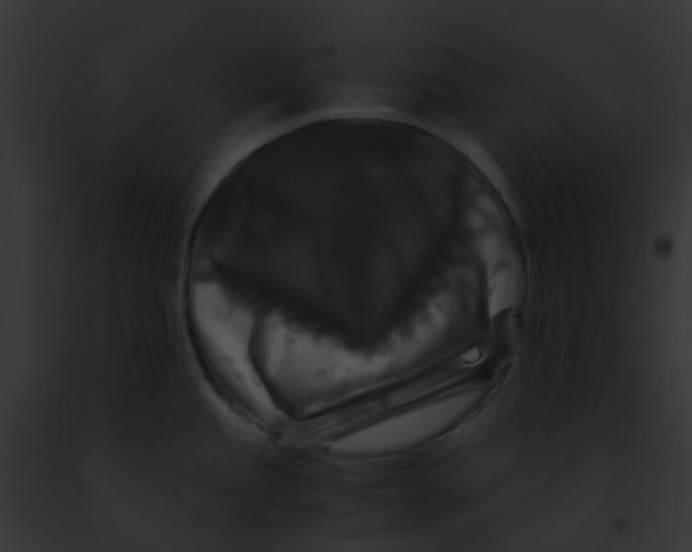 X0000091881245200710031114