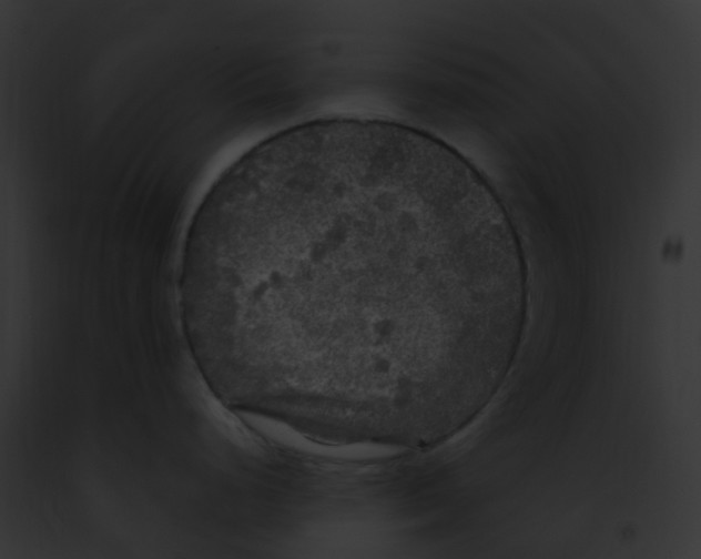 X0000091881248200710031114