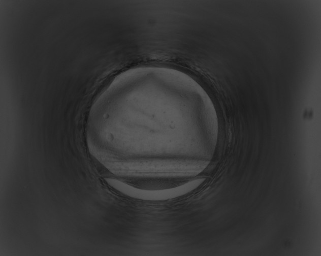 X0000091881249200710031114