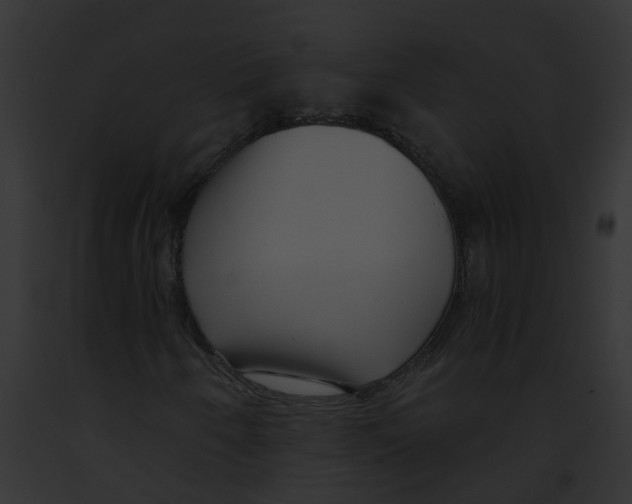 X0000091881250200710031114