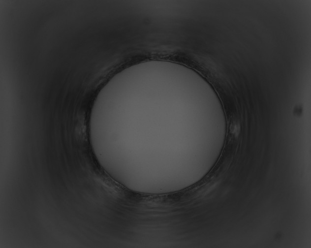 X0000091881252200710031114