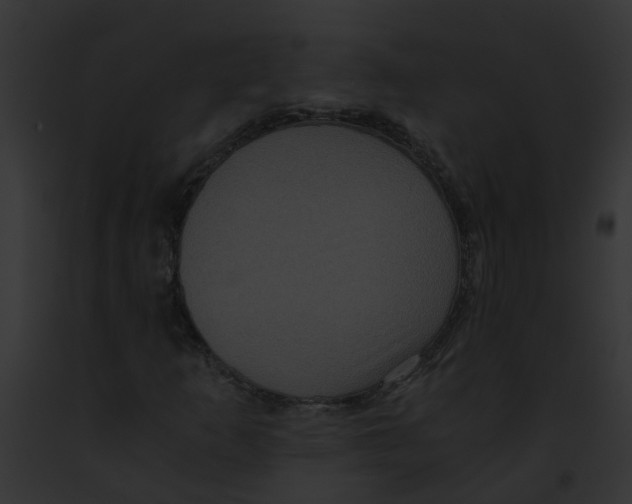 X0000091881253200710031114