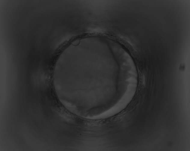 X0000091881254200710031114