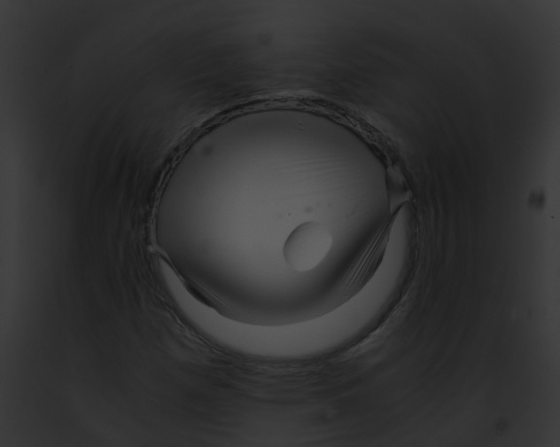 X0000091881257200710031114