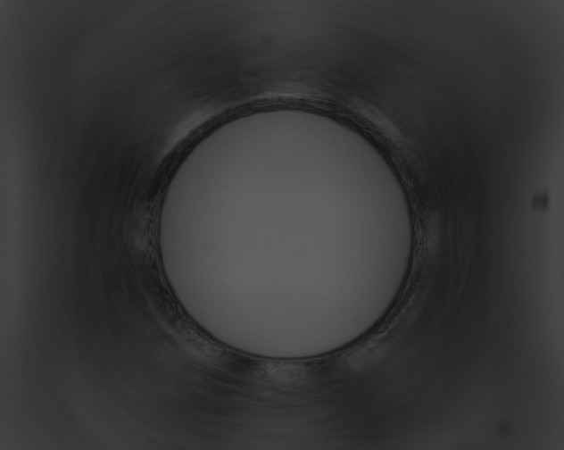 X0000091881258200710031114