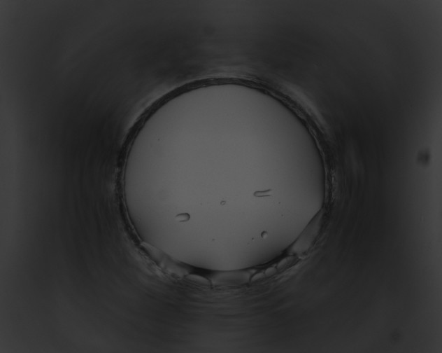 X0000091881260200710031114