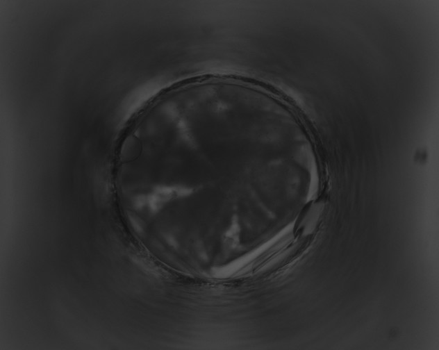 X0000091881263200710031114